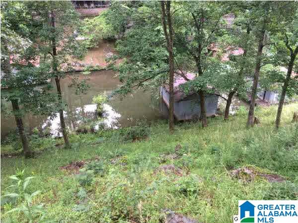 9588 Burney Camp Road Bessemer, AL 35023 - Photo 2 of 37