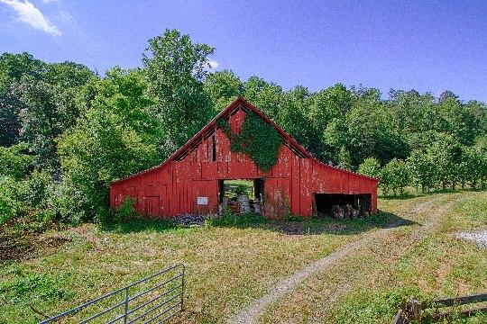 5615 Poor Valley Road Rutledge, TN 37861 - Photo 9 of 18 08-IMG_7320_HDR