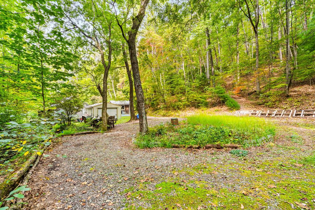 64 Timberline Road Murphy, NC 28906 - Photo 38 of 45 a view of backyard with green space