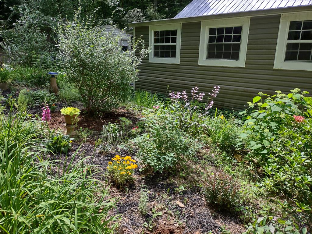 64 Timberline Road Murphy, NC 28906 - Photo 40 of 45 a view of a house with a flower garden