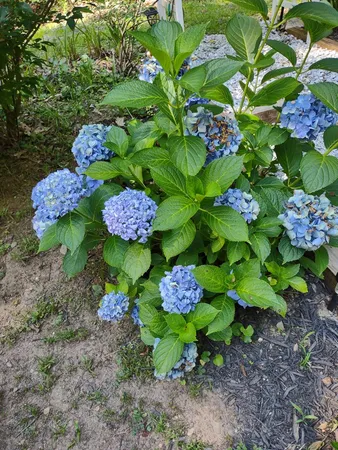 $289,000 | 64 Timberline Road, Murphy, NC 28906