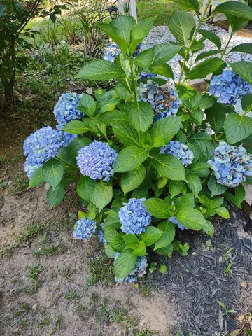 $299,000 | 64 Timberline Road, Murphy, NC 28906