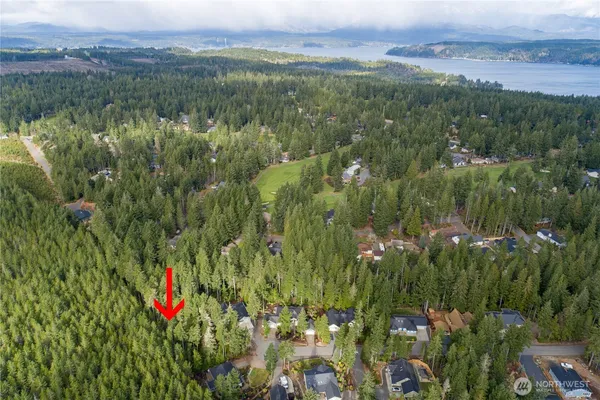 a view of a lush green forest with houses and lake view