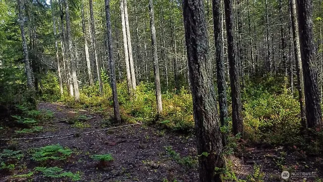 a view of outdoor space and green space