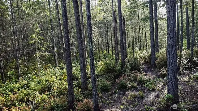a view of outdoor space and green space