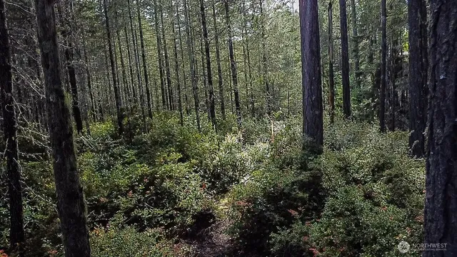 a view of outdoor space and green space