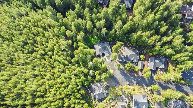 a backyard of a house with lots of plants