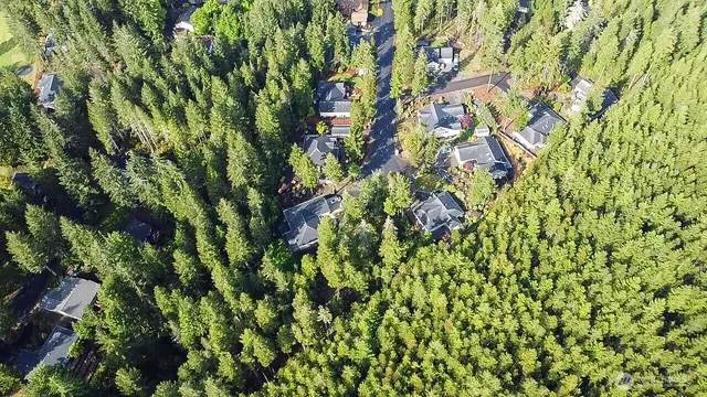 a view of a city with lush green forest