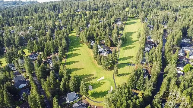 a view of a plant in a garden