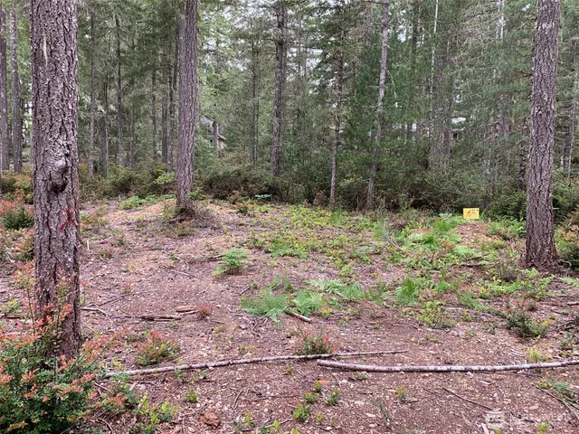 a view of a yard with trees