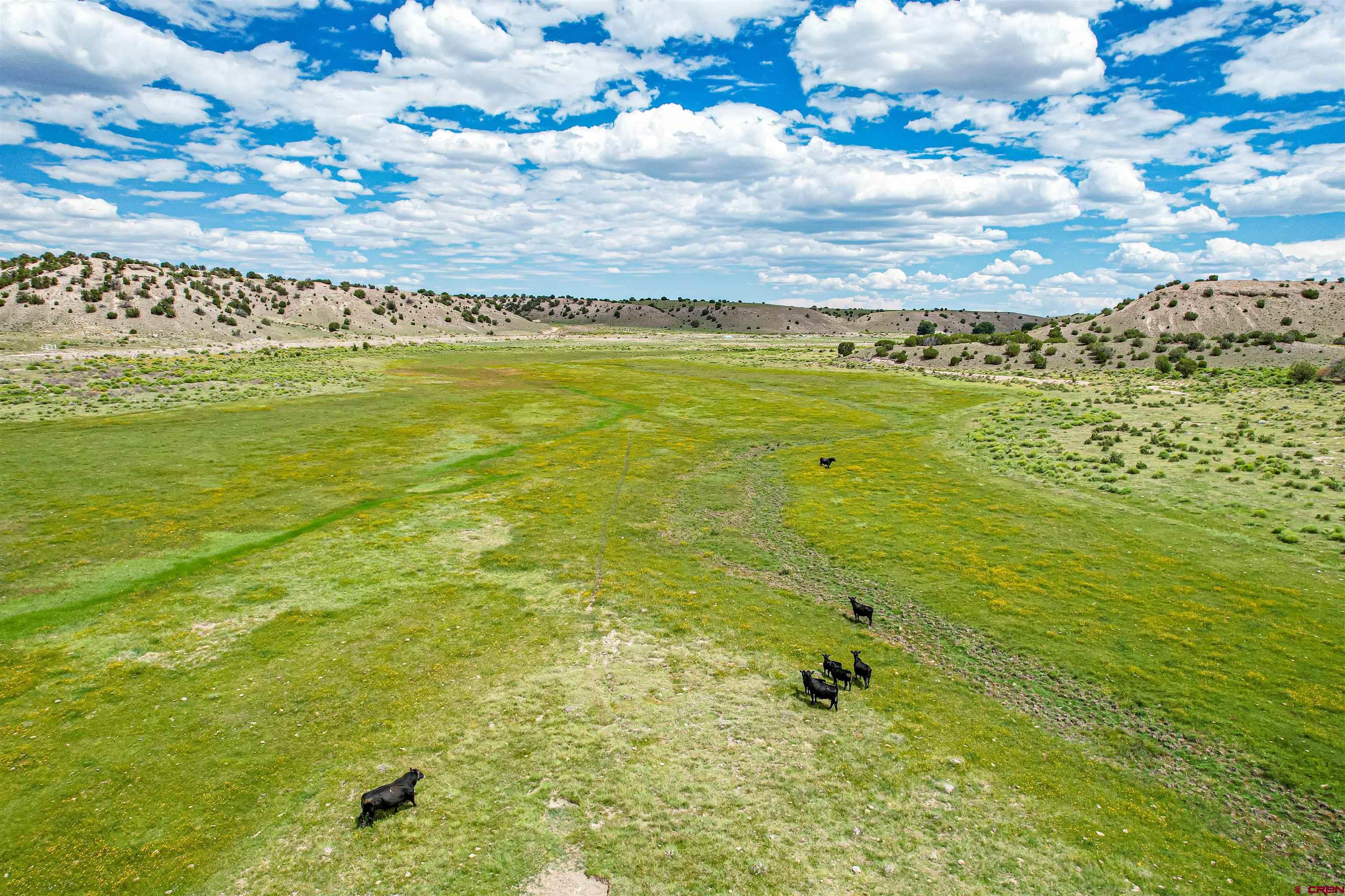 3813 Highway 60, Unit RITO SPRINGS Quemado, NM 87829 - Photo 2 of 35