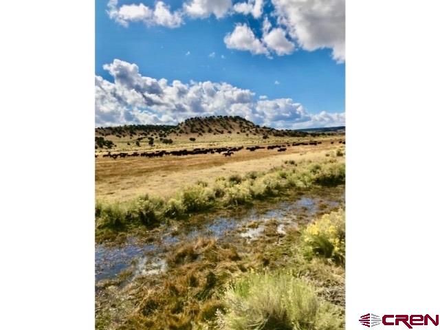 3813 Highway 60, Unit RITO SPRINGS Quemado, NM 87829 - Photo 14 of 35