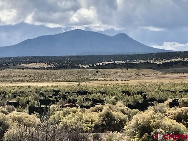 3813 Highway 60, Unit RITO SPRINGS Quemado, NM 87829 - Photo 15 of 35