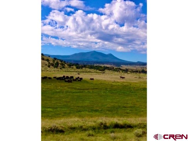3813 Highway 60, Unit RITO SPRINGS Quemado, NM 87829 - Photo 16 of 35