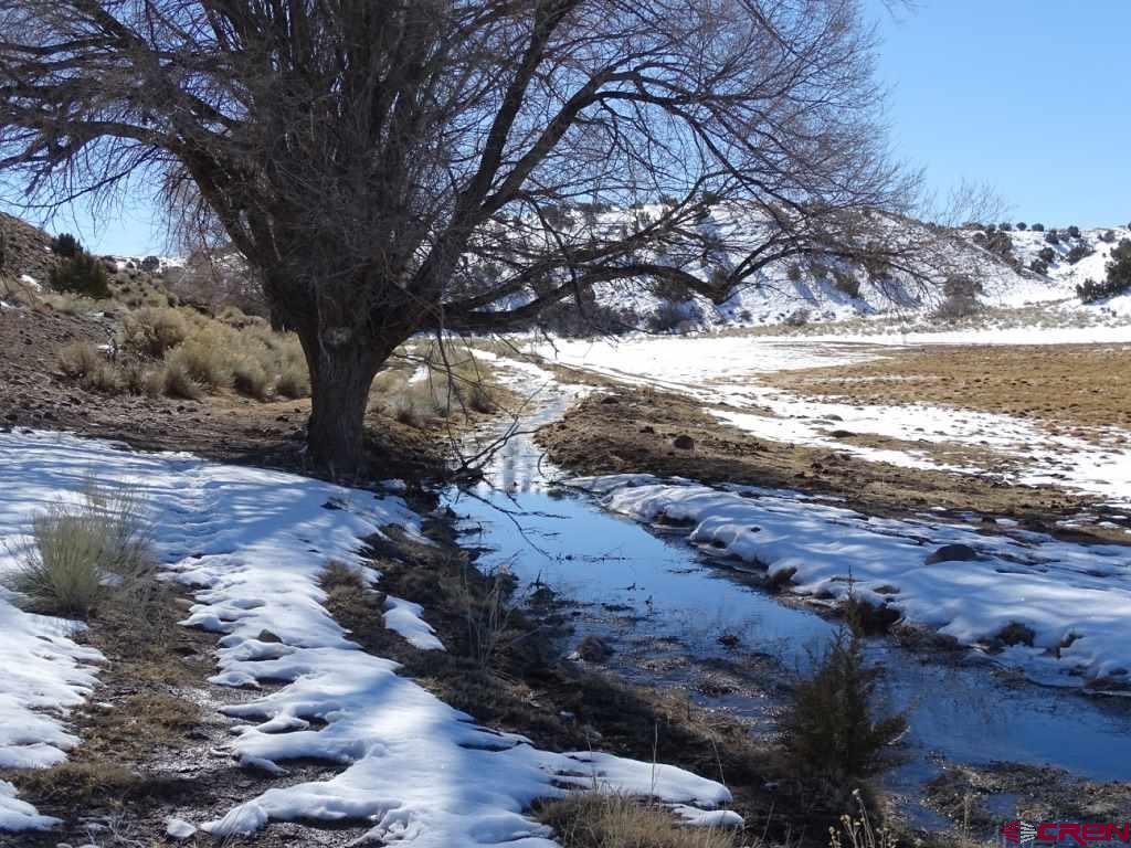 3813 Highway 60, Unit RITO SPRINGS Quemado, NM 87829 - Photo 27 of 35