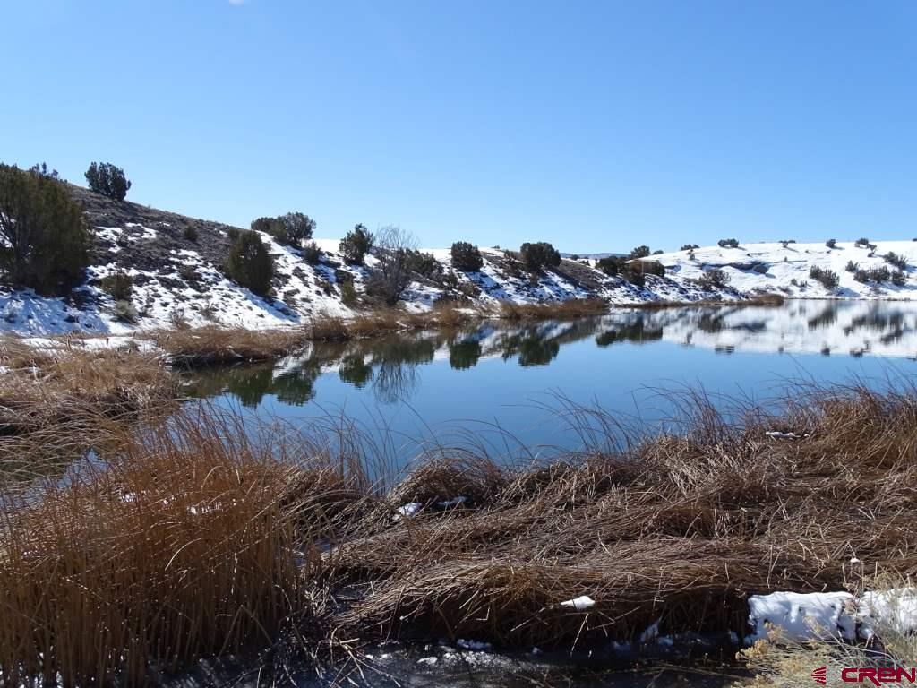 3813 Highway 60, Unit RITO SPRINGS Quemado, NM 87829 - Photo 28 of 35