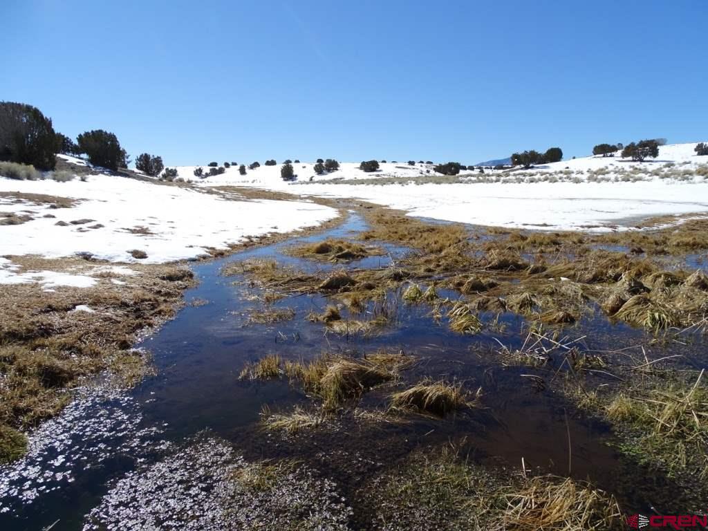 3813 Highway 60, Unit RITO SPRINGS Quemado, NM 87829 - Photo 33 of 35