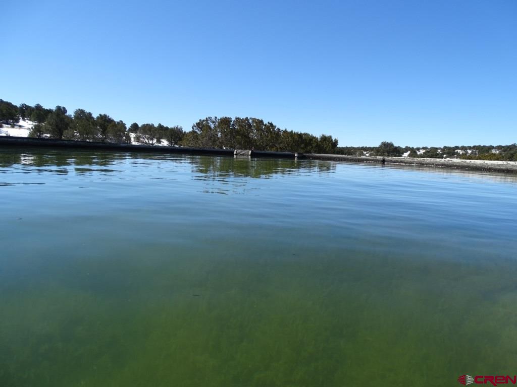 3813 Highway 60, Unit RITO SPRINGS Quemado, NM 87829 - Photo 35 of 35