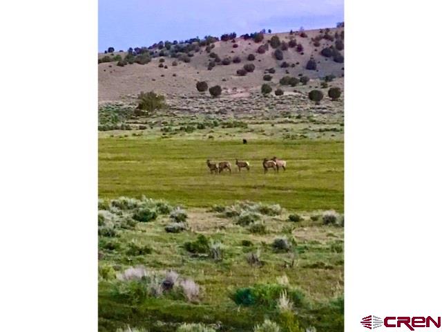 3813 Highway 60, Unit RITO SPRINGS Quemado, NM 87829 - Photo 6 of 35