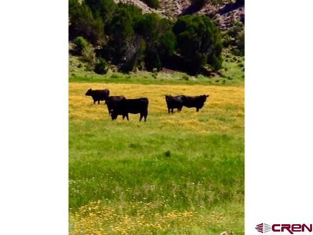 3813 Highway 60, Unit RITO SPRINGS Quemado, NM 87829 - Photo 7 of 35