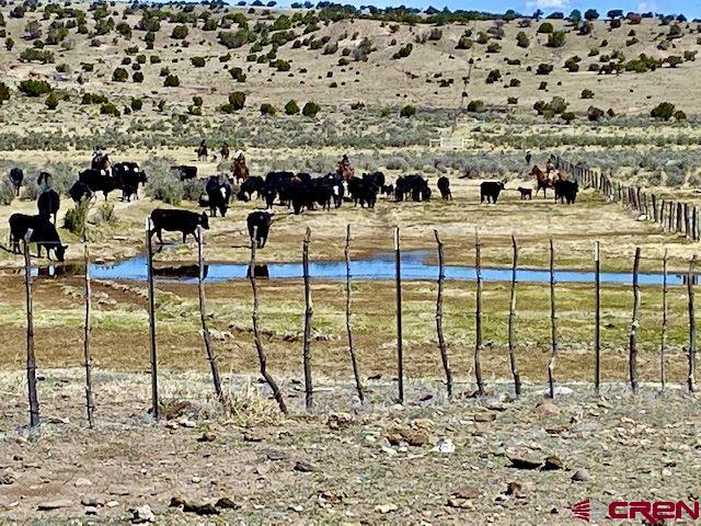 3813 Highway 60, Unit RITO SPRINGS Quemado, NM 87829 - Photo 8 of 35