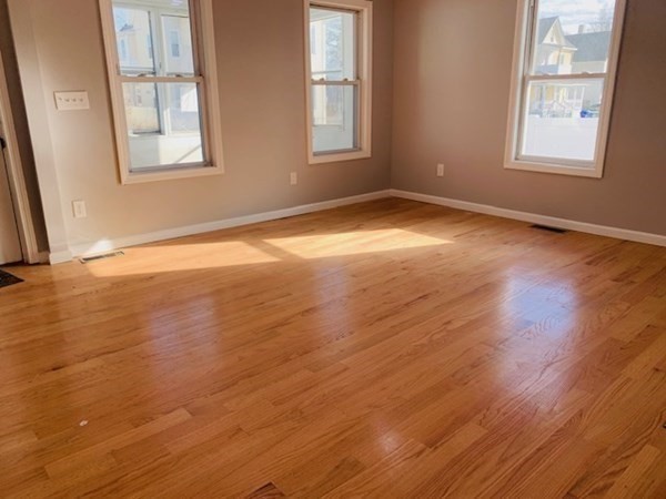 52 Nelson Avenue Springfield, MA 01109 - Photo 3 of 21 Gallery Image 3