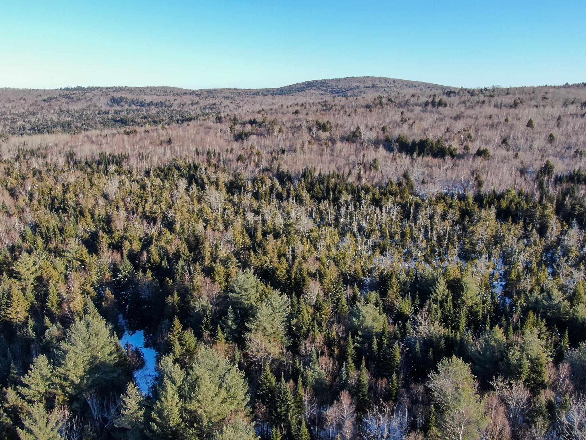 Lot 15 Upper Dobsis Road Lakeville, ME 04487 - Photo 7 of 35 7