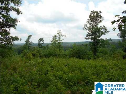 Virginia Street Oneonta, AL 35121 - Photo 1 of 3