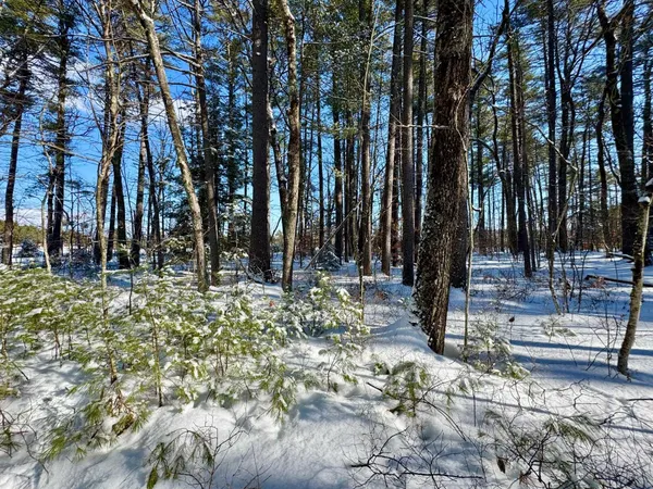 $150,000 | 0 Swans Falls Road, Unit LOT A, Fryeburg, ME 04037