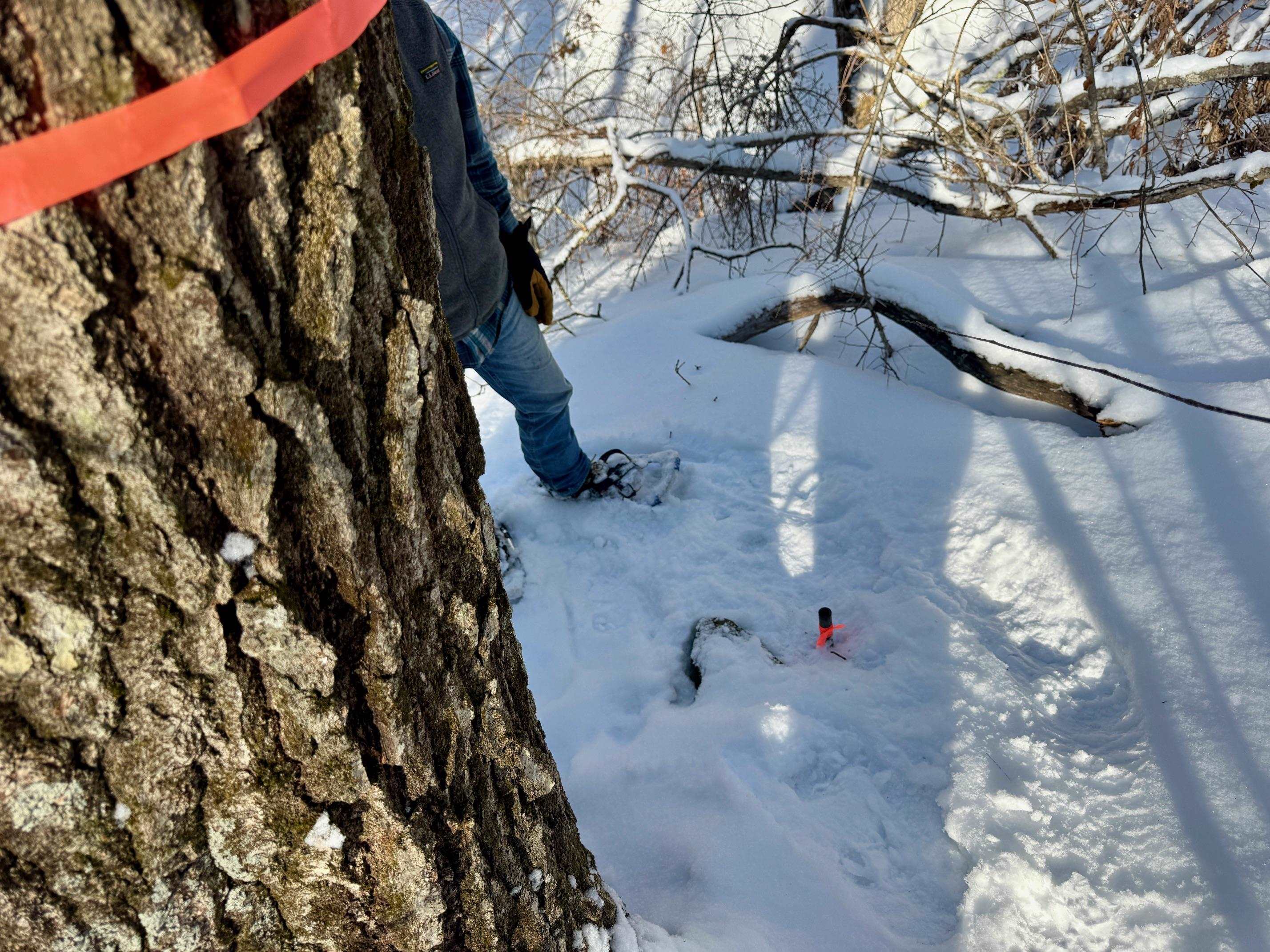 0 Swans Falls Road, Unit LOT A Fryeburg, ME 04037 - Photo 13 of 18