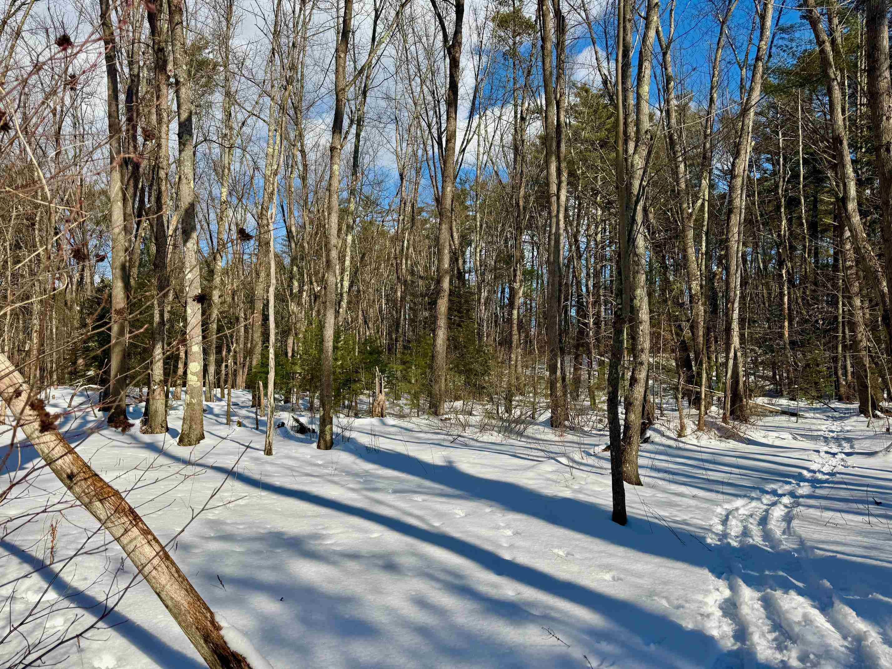 0 Swans Falls Road, Unit LOT A Fryeburg, ME 04037 - Photo 14 of 18