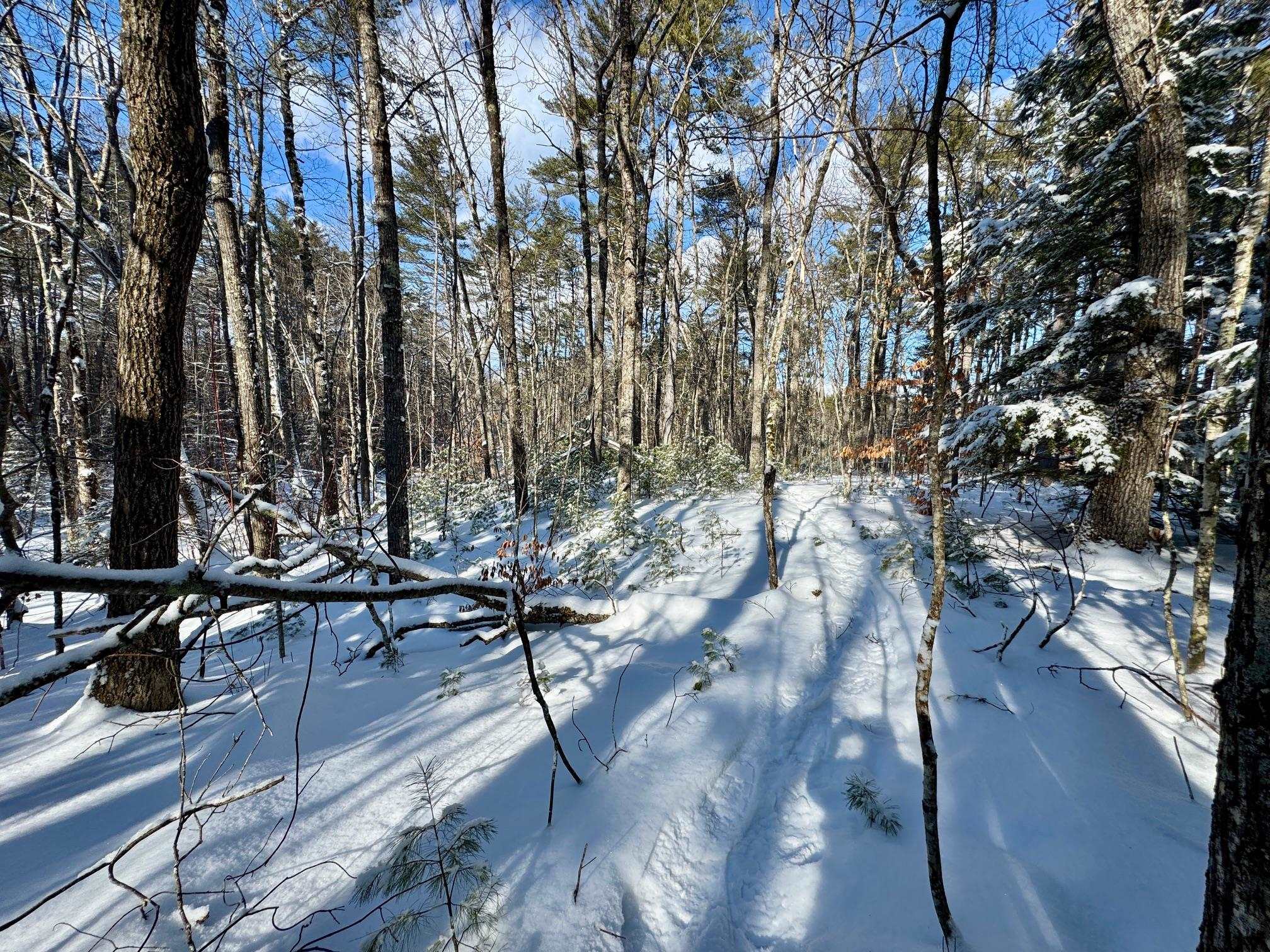 0 Swans Falls Road, Unit LOT A Fryeburg, ME 04037 - Photo 5 of 18