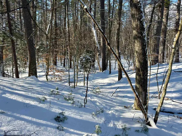 $150,000 | 0 Swans Falls Road, Unit LOT A, Fryeburg, ME 04037
