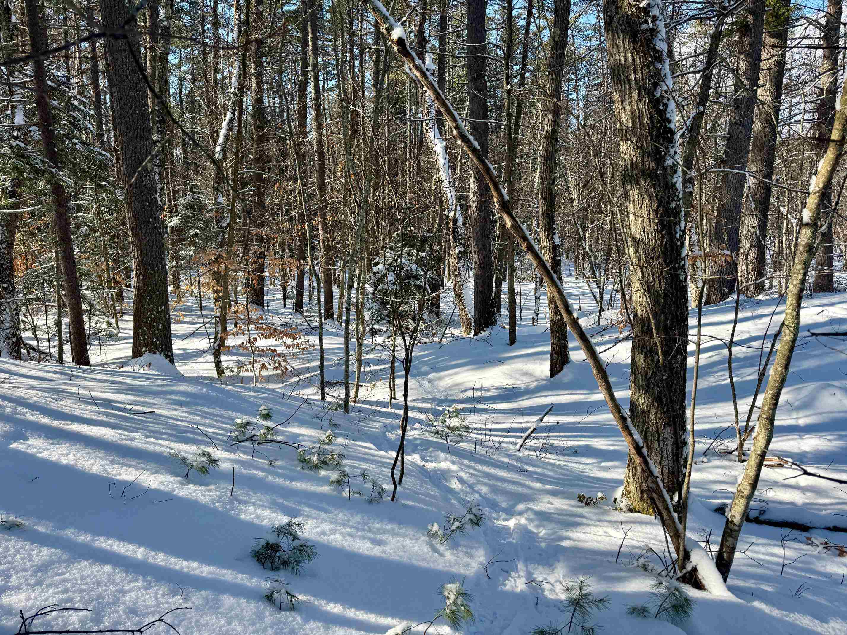 0 Swans Falls Road, Unit LOT A Fryeburg, ME 04037 - Photo 6 of 18