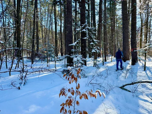$150,000 | 0 Swans Falls Road, Unit LOT A, Fryeburg, ME 04037