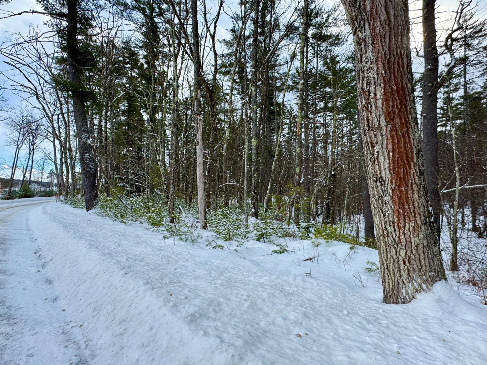 0 Swans Falls Road, Unit LOT A Fryeburg, ME 04037 - Photo 9 of 18