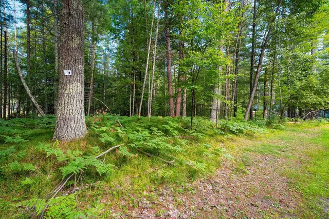 $29,900 | White Pine Lane, Unit 7, Pembine, WI 54156