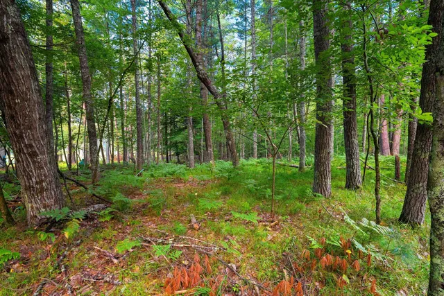 $29,900 | White Pine Lane, Unit 7, Pembine, WI 54156