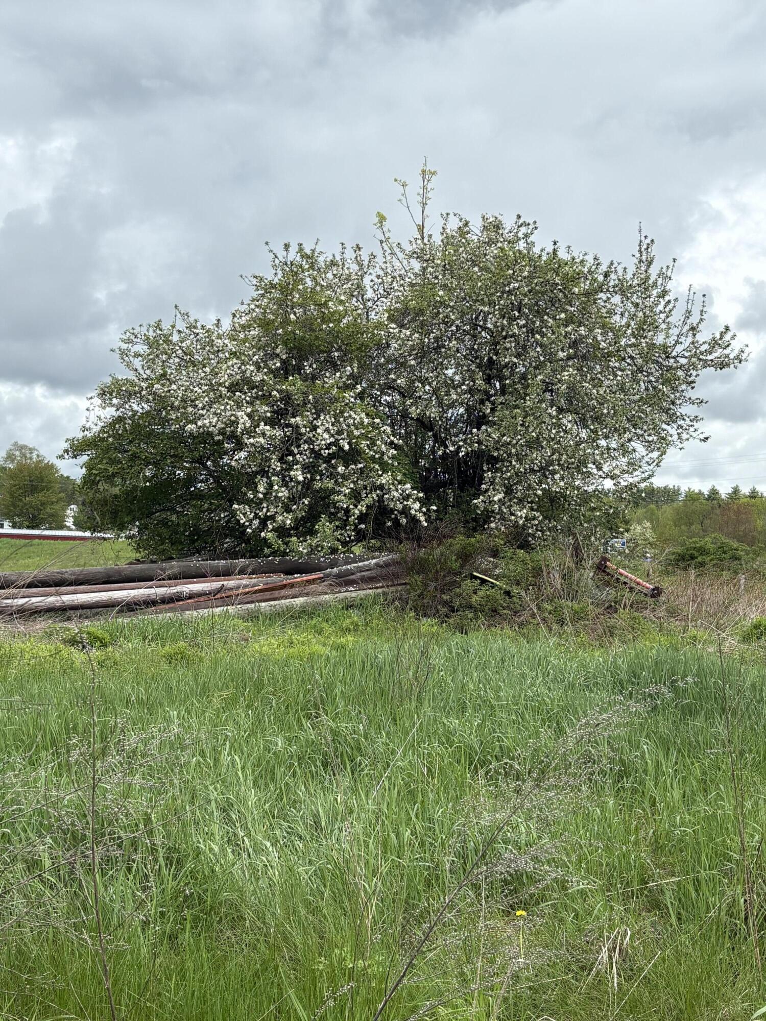 324 Village Road Smithfield, ME 04978 - Photo 18 of 37 IMG_8371