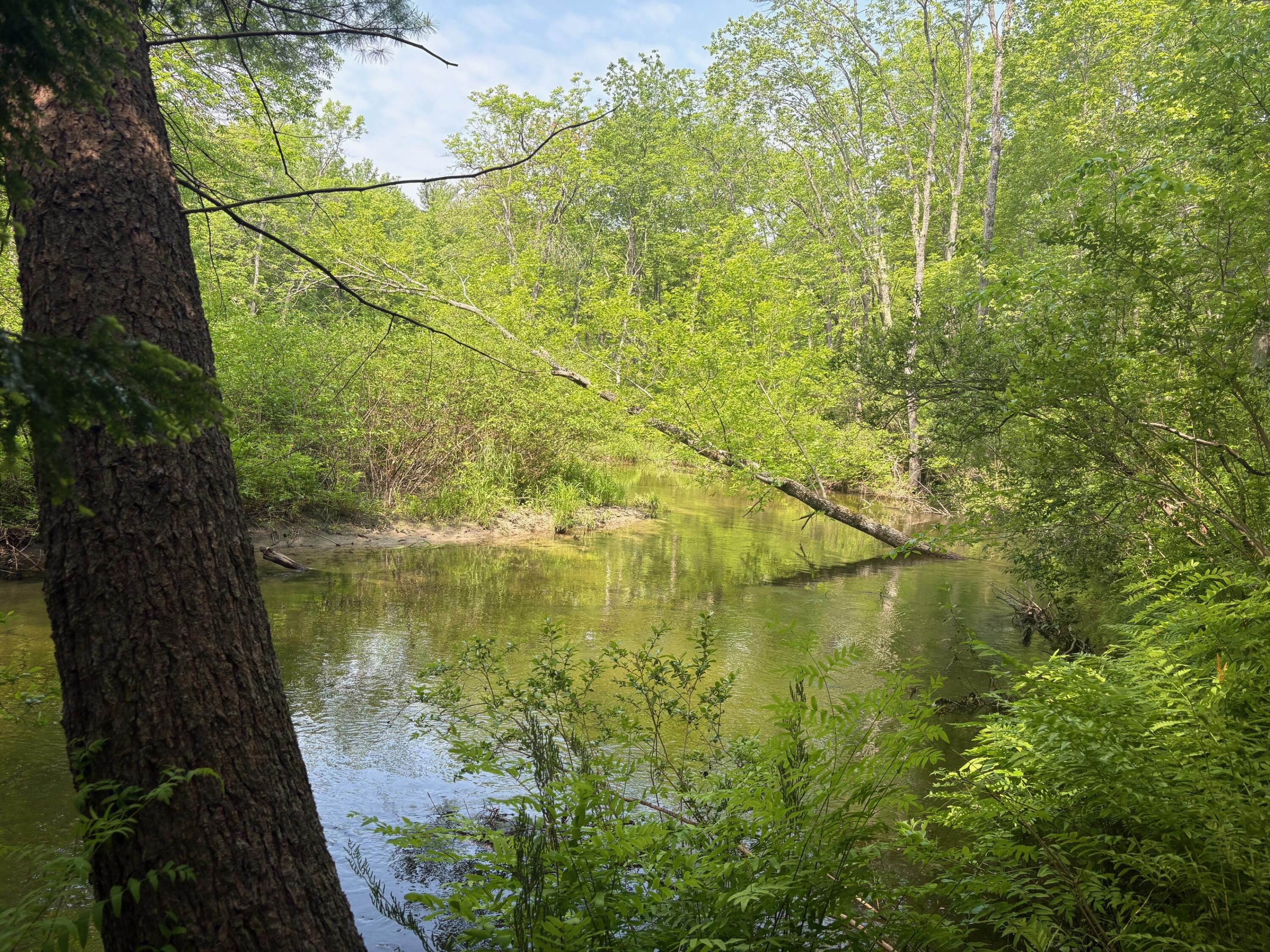 324 Village Road Smithfield, ME 04978 - Photo 25 of 37 IMG_8561