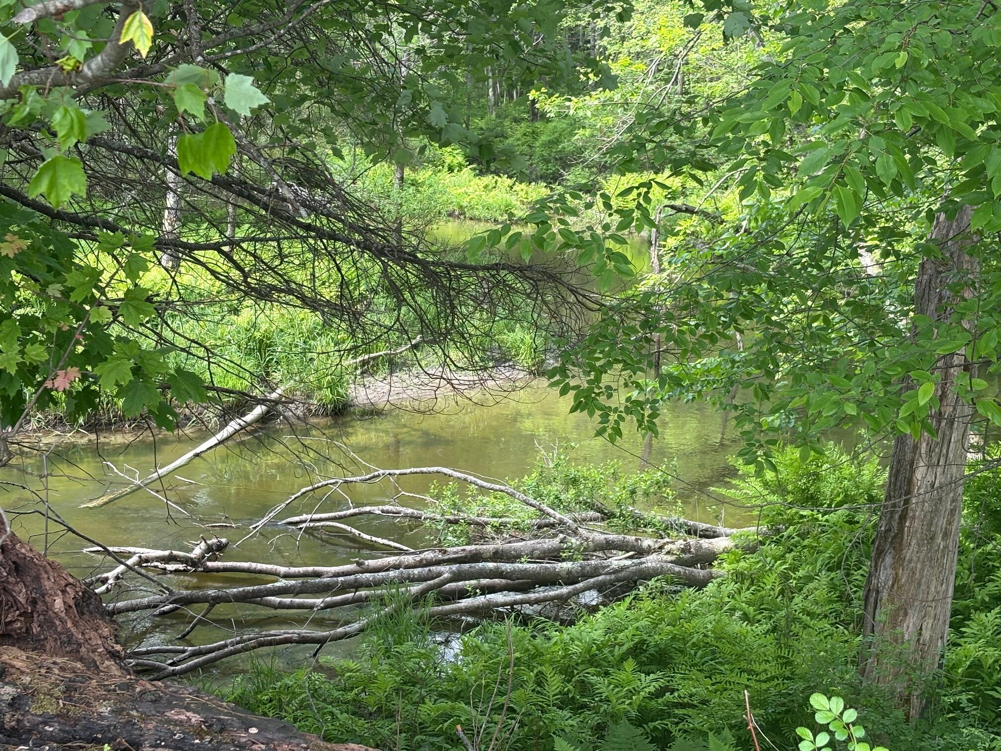 324 Village Road Smithfield, ME 04978 - Photo 26 of 37 IMG_8557