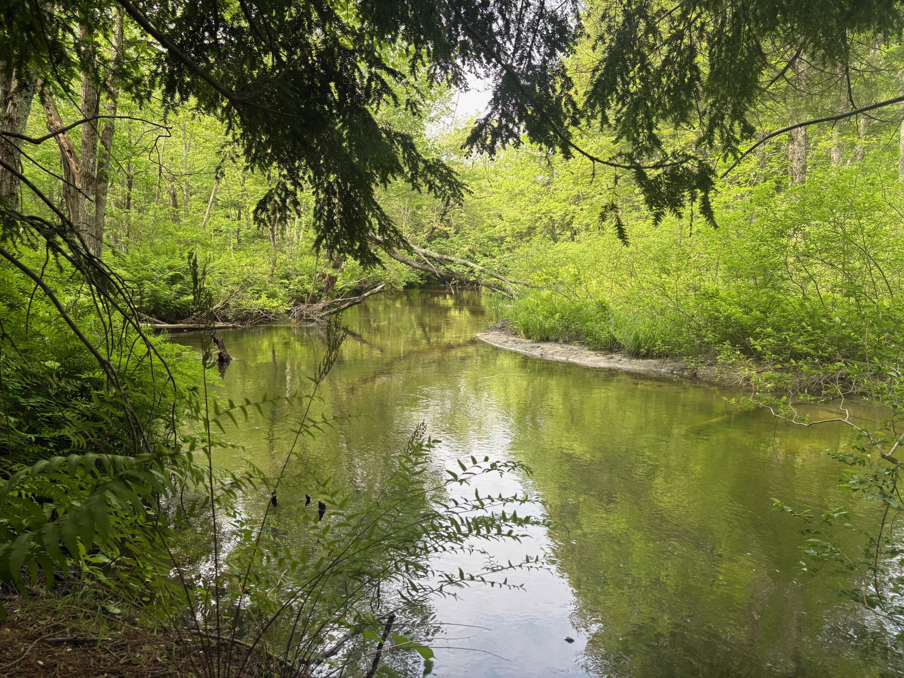 324 Village Road Smithfield, ME 04978 - Photo 3 of 37 IMG_8560