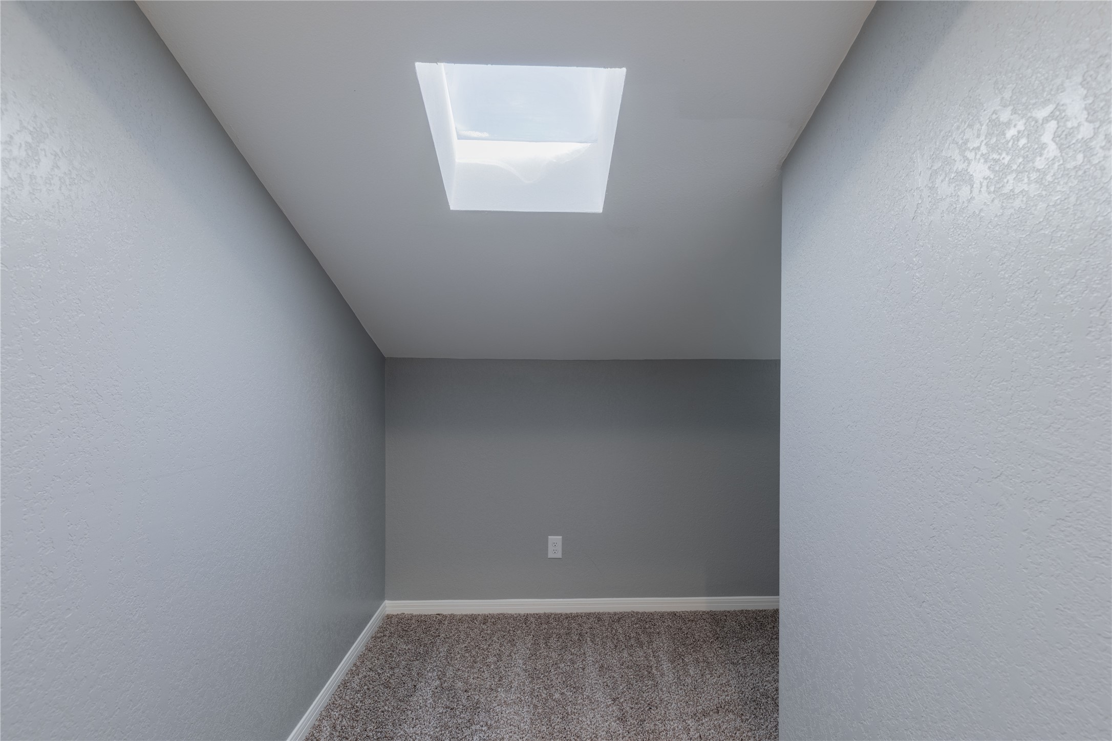 319 Rawhide Loop Round Rock, TX 78681 - Photo 19 of 28 Bonus room featuring light carpet, vaulted ceiling, a textured wall, and a skylight