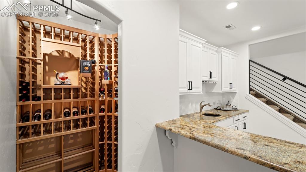 13625 Random Ridge View Colorado Springs, CO 80921 - Photo 28 of 50 Wine cellar with a sink and recessed lighting