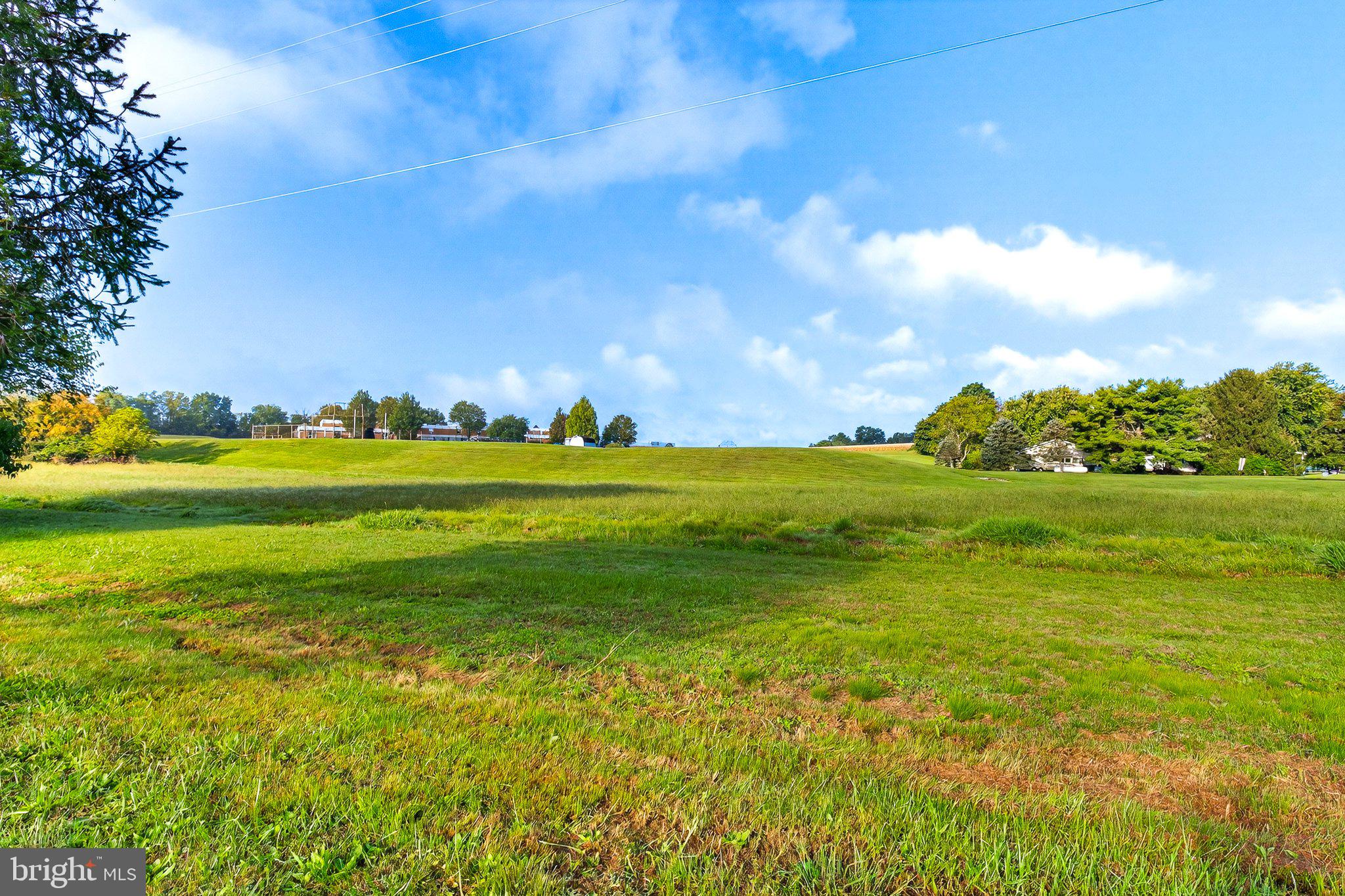342 Frogtown Road Pequea, PA 17565 - Photo 24 of 37 a view of a big yard with lots of green space
