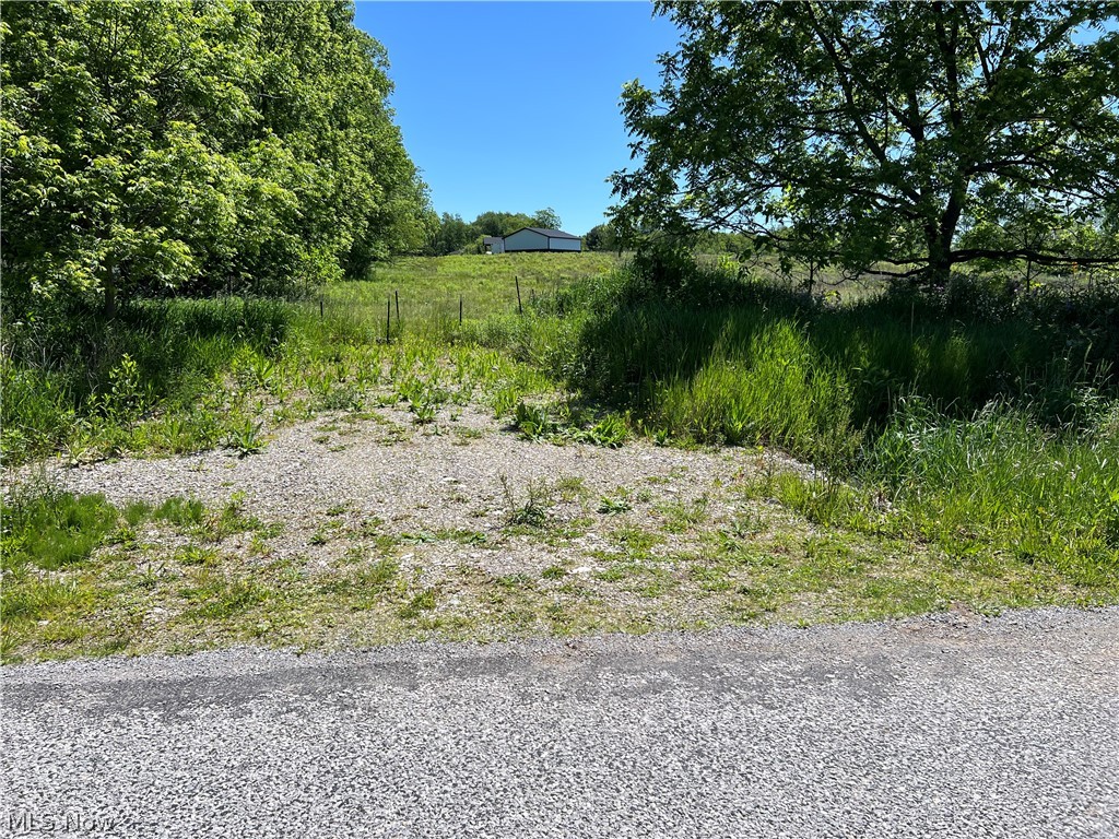 Shaw Road Spencer, OH 44275 - Photo 8 of 8