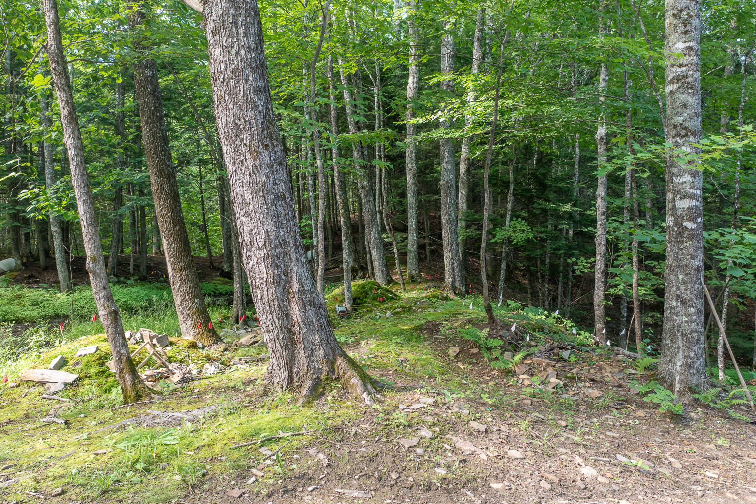 156 Mayfield Road Moscow, ME 04920 - Photo 26 of 64 Moscow-45