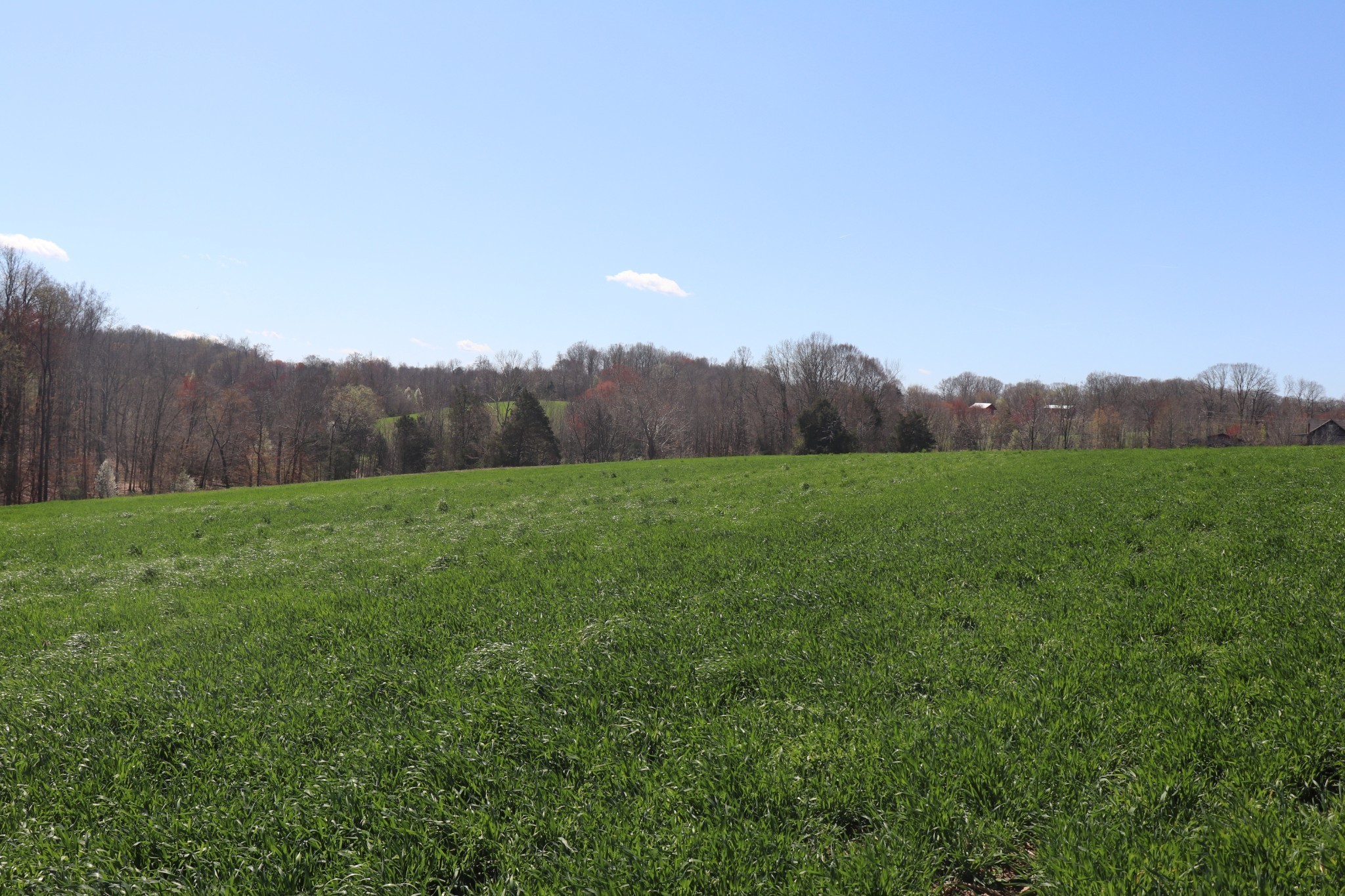 9 Gamaliel Road Red Boiling Springs, TN 37150 - Photo 10 of 16