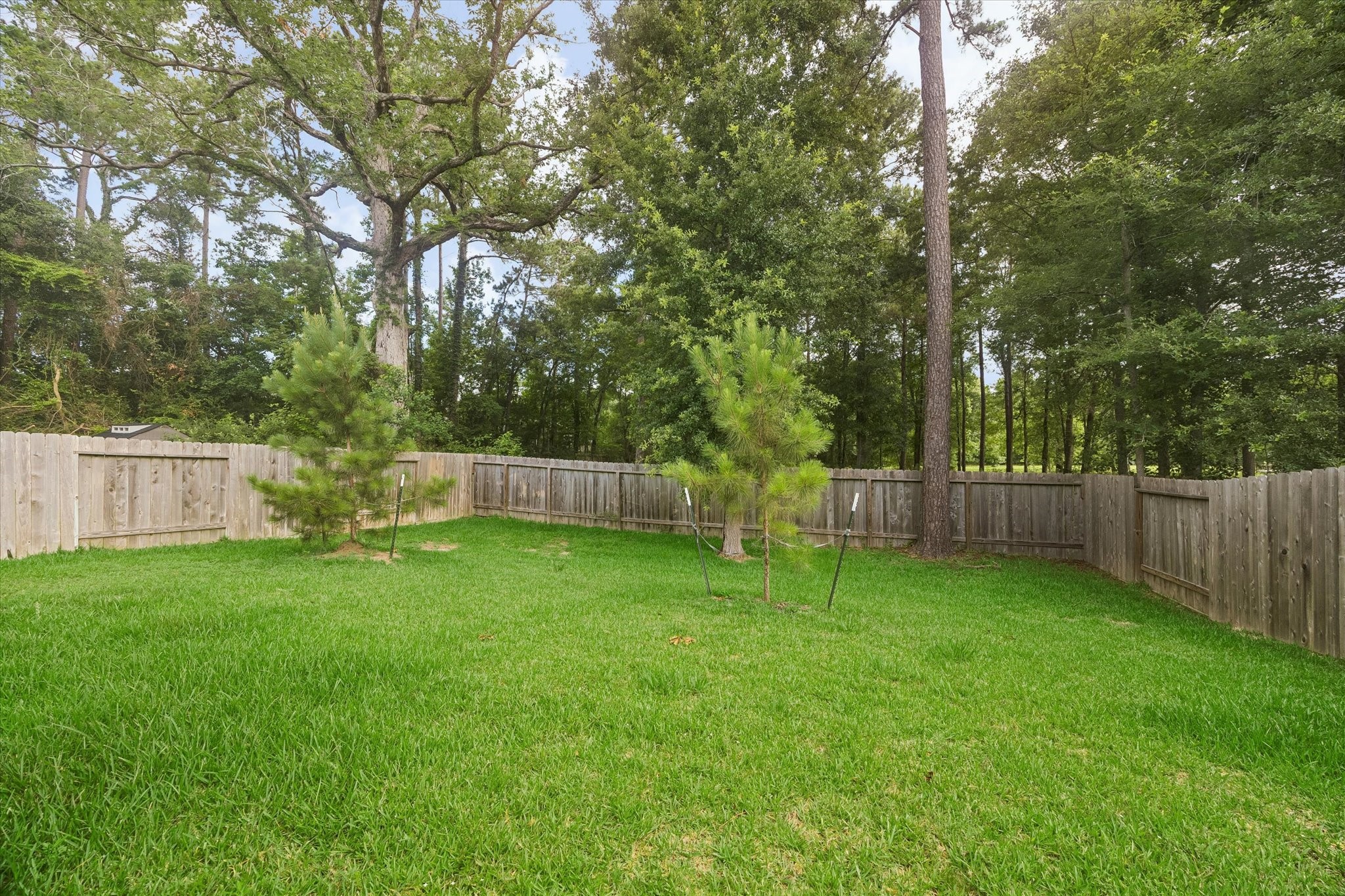 4050 Timber Sapp Drive Conroe, TX 77304 - Photo 20 of 20