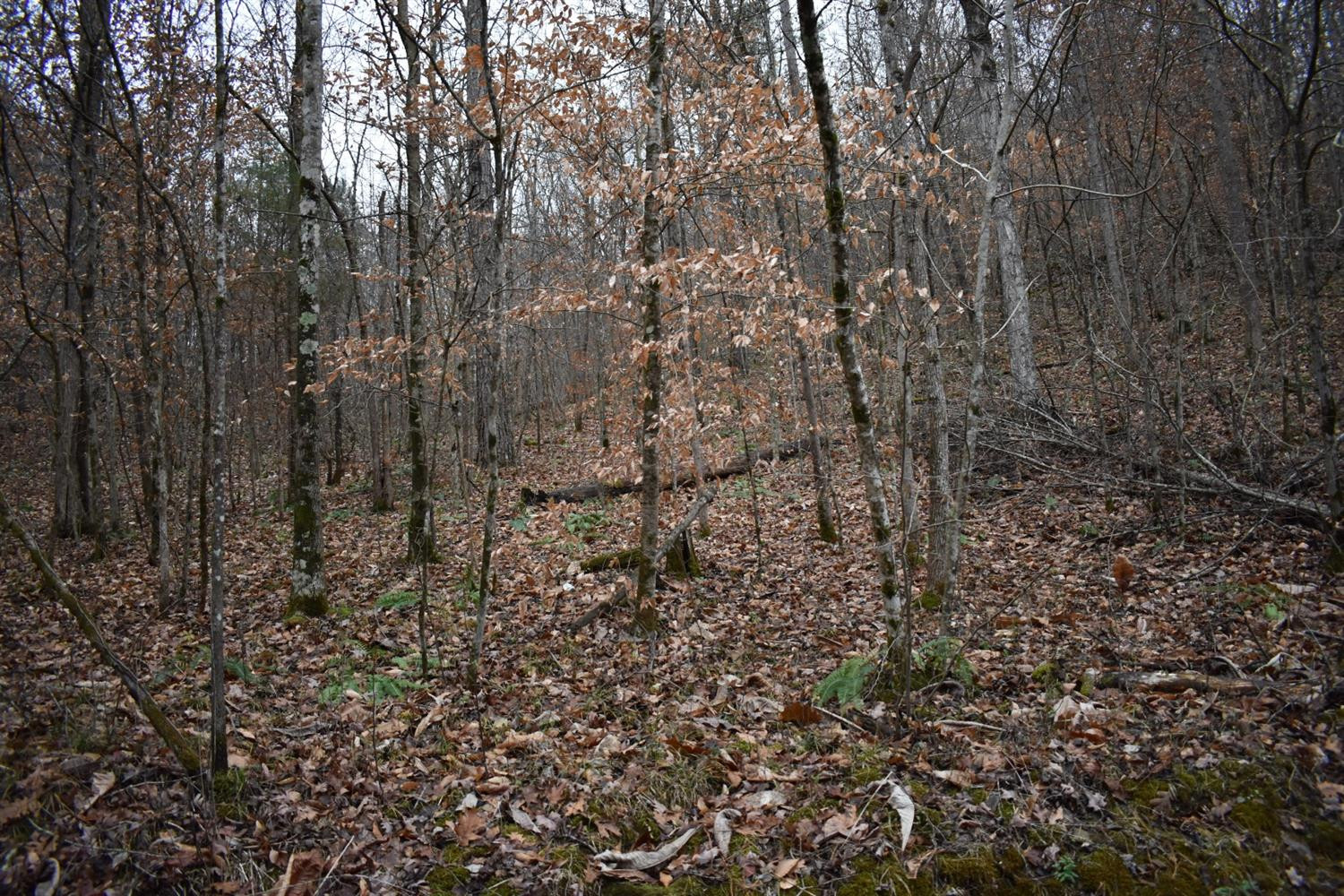 9999 East Crawfish Road Manchester, KY 40962 - Photo 43 of 52 Photo 43